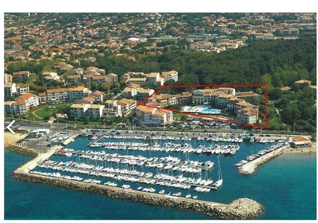 Appartement T2 Avec Piscine A 100 M De La Plage Six-Fours-les-Plages Eksteriør billede