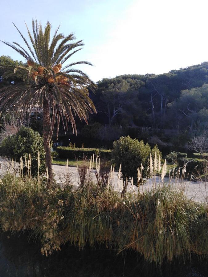 Appartement T2 Avec Piscine A 100 M De La Plage Six-Fours-les-Plages Eksteriør billede