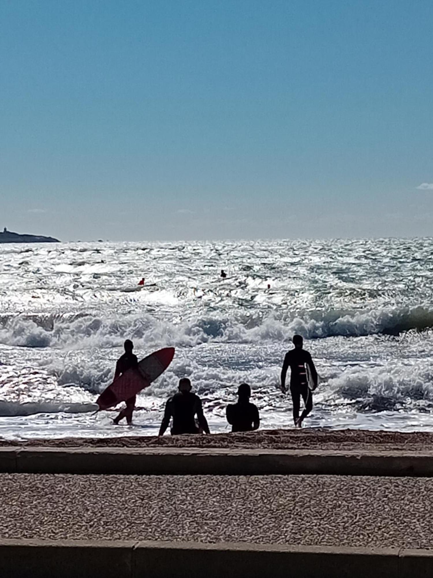 Appartement T2 Avec Piscine A 100 M De La Plage Six-Fours-les-Plages Eksteriør billede
